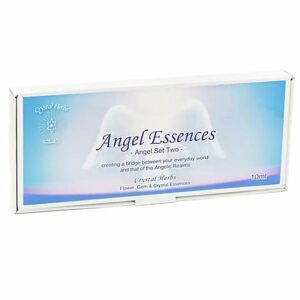 Angel Essences SET 2 10 flesjes