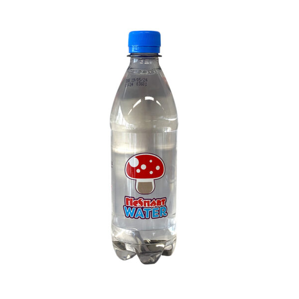 McSmart Water 500ML - 24 stuks